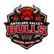Antelope Valley Bulls
