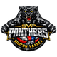 Silicon Valley Panthers
